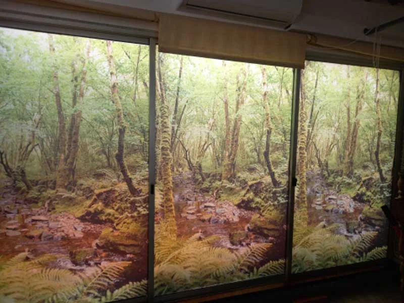 Plotteo adhesivo para ventana