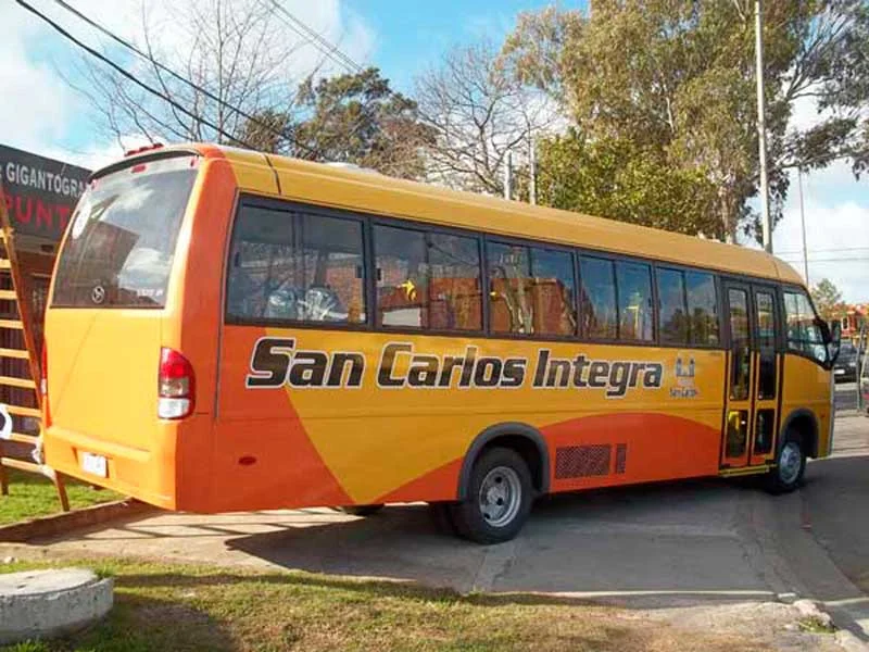 Gráfica Vehicular